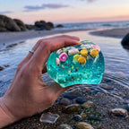🐚 Skal fra en ø, Squishy Toy