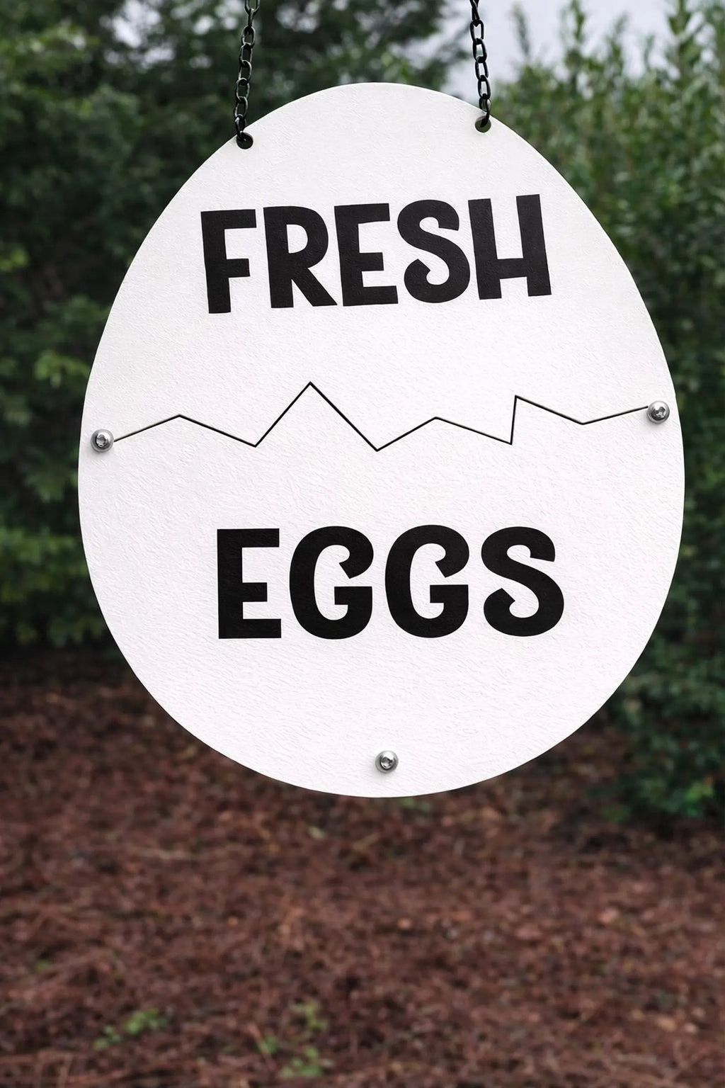 🥚Färska Ägg i Plåt - Rustik Lantlig Inredning för Hönshus & Marknad🏠🐔